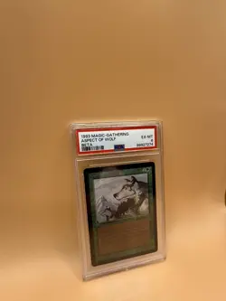 Aspect of Wolf – MTG Beta (1993) – PSA 6 EX-MT - Magic the Gathering - Image 2