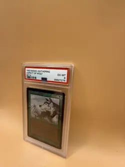 Aspect of Wolf – MTG Beta (1993) – PSA 6 EX-MT - Magic the Gathering - Image 3