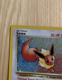 Eevee #11 Black Star Promo (LP) Pokemon Card WOTC 2000 - Image 2
