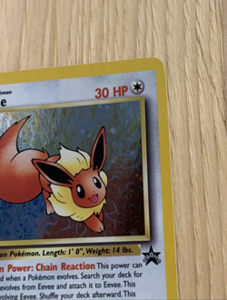 Eevee #11 Black Star Promo (LP) Pokemon Card WOTC 2000 - Image 3