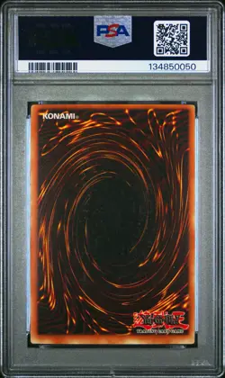 Yu-Gi-Oh! Blue Eyes White Dragon LOB 1st Edition Spanish LDD-S001 PSA 8(OC) - Image 2