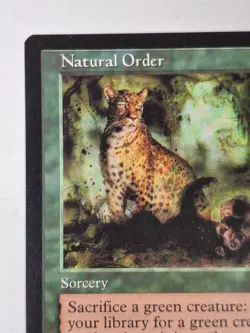 MTG NATURAL ORDER - VISIONS Magic Card NM BB - Image 2