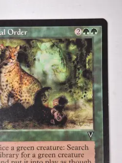MTG NATURAL ORDER - VISIONS Magic Card NM BB - Image 3