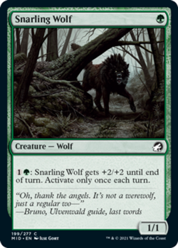Snarling Wolf - Foil NM, English MTG Innistrad: Midnight Hunt - Image 1