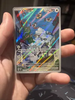 Pokemon TCG Chatot Card 181/162 SV05: Temporal Forces NM Illustration Rare - Image 1