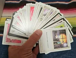 Vintage Collection of ~800 Old 1994 & 1995 Magic The Gathering Deckmaster Cards - Image 3