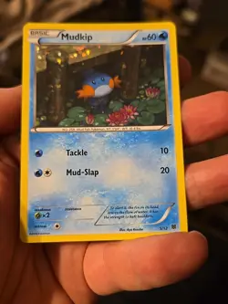 Mudkip - 5/12 - Pokemon McDonald's Promos Holo 2014 LP-MP - Image 2