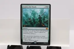 Awaken the Woods The Brothers' War Regular - Image 1