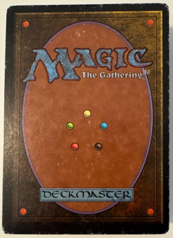 Savannah Unlimited Edition Regular - Image 2