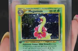 Meganium 11/111 Neo Genesis 2000 1st Edition Holo Rare Pokemon Card EX ACE 5 - Image 3