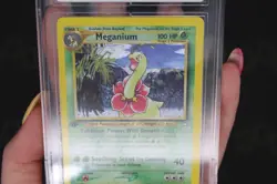 Meganium 11/111 Neo Genesis 2000 1st Edition Holo Rare Pokemon Card EX ACE 5 - Image 4