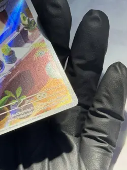 Pokemon TCG Bulbasaur Stellar Crown Illustration - Image 5