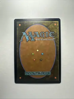Ajani, Outland Chaperone (Borderless) Lorwyn Eclipsed Regular - Image 2