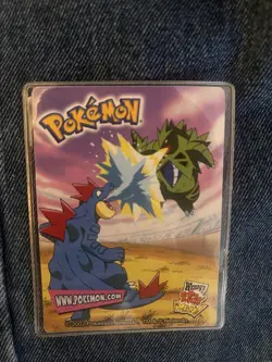 WENDY'S - CHARIZARD Promo POKEMON Laminated 2002 Trading Card 2/15 - Image 2