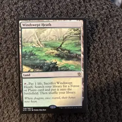 MTG Windswept Heath - Image 1
