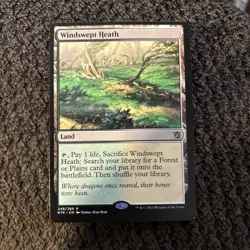MTG Windswept Heath - Image 2