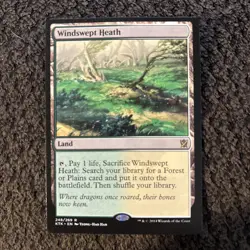 MTG Windswept Heath - Image 3