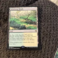 MTG Windswept Heath - Image 4