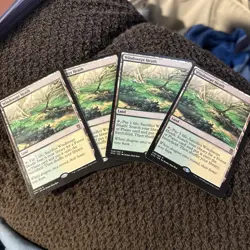 MTG Windswept Heath - Image 5