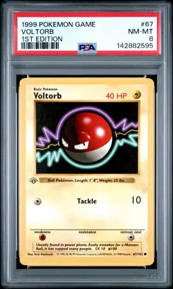 1999 POKEMON GAME 1ST ED #67 VOLTORB PSA 8 - Image 1