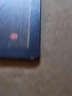 MTG Setessan Champion Theros Beyond Death Regular Rare Card 198/254 - Image 4