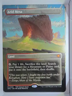 Arid Mesa (Borderless) - M109 - MTG - Special Guests (SPG) - Image 1