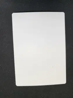 Spark Double Artist Proof, Magic The Gathering, Eric Deschamps - Image 2