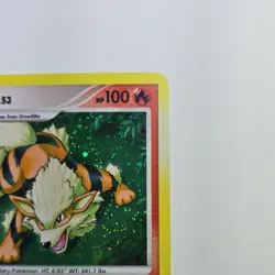 Pokemon TCG Arcanine Holo Rare Rising Rivals 1/111 Stage 1 100 HP 2009 English - Image 3