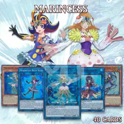 MARINCESS DECK 40 | Anemone Marbled Blue Tang Slug Sea Horse Sea Angel YuGiOh🌊 - Image 1