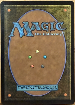 LIMITED EDITION Secret Lair MtG Silver Shroud Costume NM BORDERLESS FOIL! - Image 2