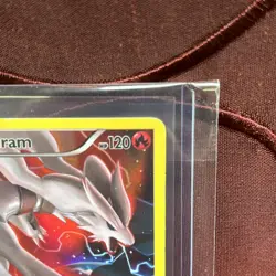 Pokemon TCG Reshiram XY Black Star Promos XY74 Full Art Holo Promo Card (LOOK) - Image 2