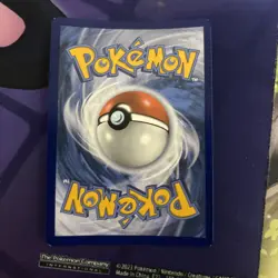 Pokemon TCG - Eevee SWSH118 Holo Rare Black Star Promo - SWSH Promos - Nm - Image 2