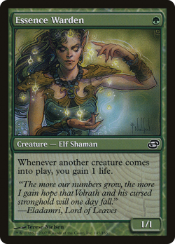 Essence Warden #145 (Damaged) Planar Chaos PLC Magic MTG - Image 1