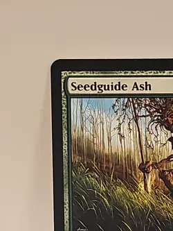 Mtg 🔥🔥 Seedguide Ash 🔥🔥 Lorwyn MT/NM Regular Magic The Gathering - Image 3