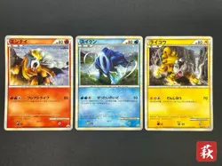 [No Import Duty (US)] Entei Suicune Raikou legend Promo 3set Pokemon card - Image 1