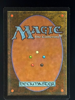 MTG - Karoo - NM+ NEVER PLAYED! - Visions - UNCOMMON - EN - REG - Image 2