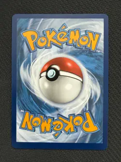 Pikachu ex ~ The Pika Gallery ~ Cute Pokemon - Image 2