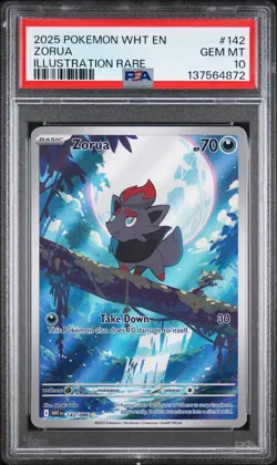 PSA 10 GEM MINT 2025 Pokemon Zorua White Flare ENG Illustration Rare #142/086 - Image 1