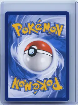 2023 Pokemon TCG S-CHN PROMO 081/S-P Friends in Alolan Holo NM - Image 2