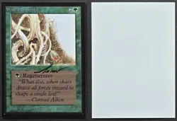 SIGNED MtG Magic Maddocks _ Beta CE _ Artist Proof _ WALL OF BRAMBLES _ 1/50! - Image 1