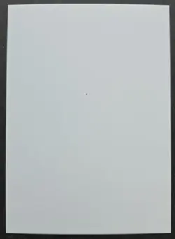 SIGNED MtG Magic Maddocks _ Beta CE _ Artist Proof _ WALL OF BRAMBLES _ 1/50! - Image 3