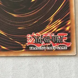 Magical Thorn - DB2-EN107 - Common - Unlimited Edition YUGIOH - Image 5