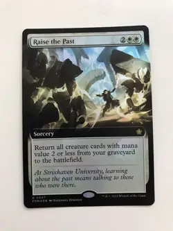 Raise the Past Foil Extended Borderless MTG Magic the Gathering Card NM Mint FDN - Image 1