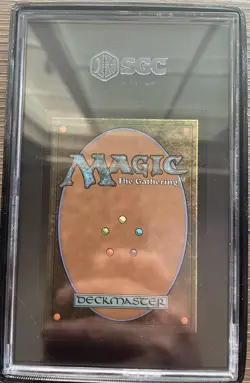 MTG Spiteful Banditry Borderless Poster 0738 Lord of the Rings SGC Graded 9.5 - Image 5