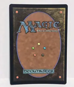 Magic: The Gathering Restless Anchorage Borderless Holo 0347 Near Mint - Image 2
