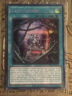 Yu-Gi-Oh! MP25 LCKC MZMU 1st Ed Holo Black Garden Melody Mikanko Shinbu - Image 1