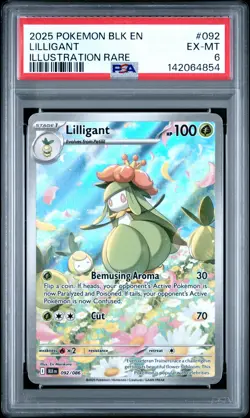 142064854 Lilligant 2025 Pokemon Black Bolt #092 Illustration Rare PSA 6 - Image 1