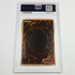 PSA NM 7 - 2008 YUGIOH Amazoness Chain Master Holo EN097 Retro Pack Card #53729L - Image 3