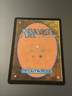 MTG Modern Horizons 2 #250 Misty Rainforest NM - Image 2