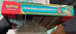 Pokemon TCG - Incineroar ex & Torterra ex Special Collection Box - Image 3
